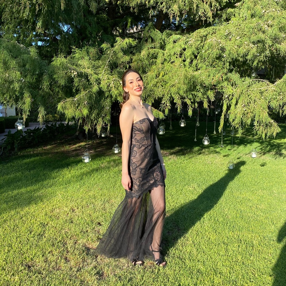 BCBGMaxAzria Black and Tan Dress